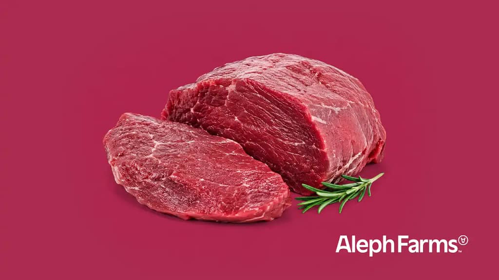 Aleph Farms erhält Zulassung für kultiviertes Rindfleisch in Singapur – Marktstart 2027